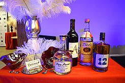 RANDALL MORRIS FOUNDATION CELEBRITY POKER TOURNAMENT